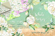 Delicate white roses PNG watercolor 