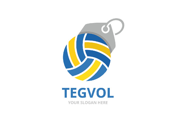 Vector volleyball and tag logo  in Logo Templates - product preview 1