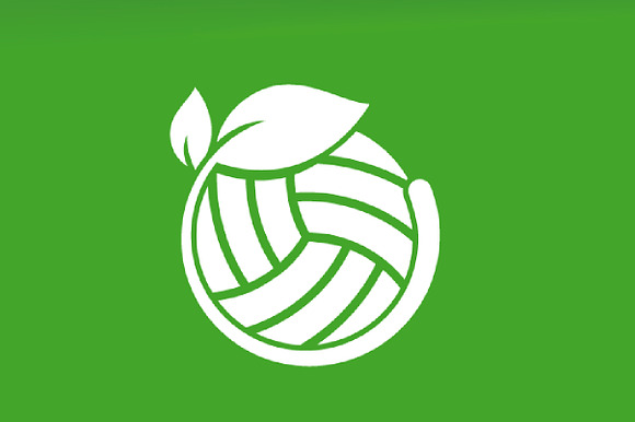 Vector volleyball and leaf logo   in Logo Templates - product preview 2