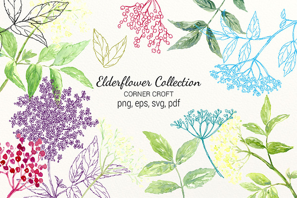 Elderflower Collection