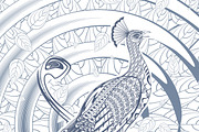 Sketch Beautiful Peacock Template