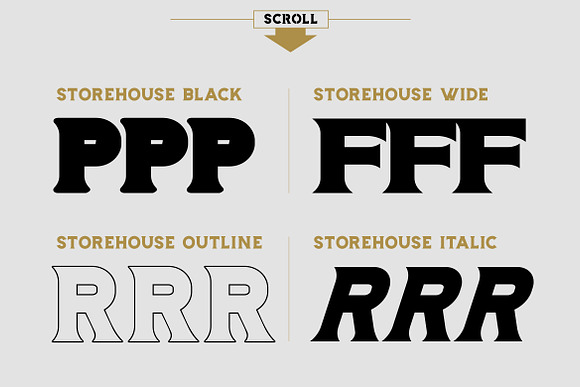 Storehouse Font + Vector shapes in Display Fonts - product preview 3