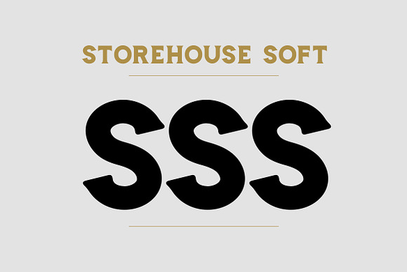 Storehouse Font + Vector shapes in Display Fonts - product preview 6