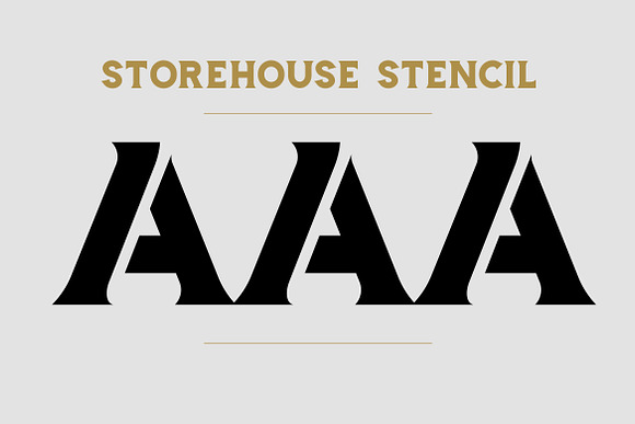 Storehouse Font + Vector shapes in Display Fonts - product preview 8