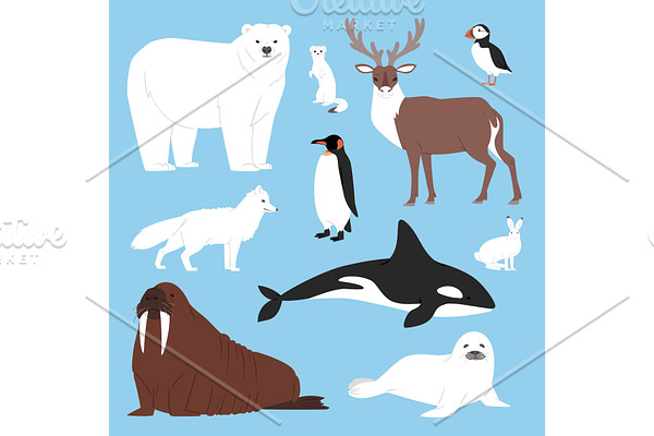 Arctic animals cartoon vector polar bear or penguin character collection with whale reindeer and seal in snowy winter antarctica set isolated illustration
