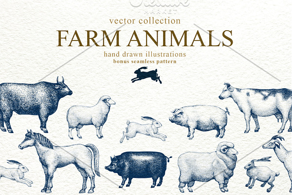 Farm Animals Vector Collection