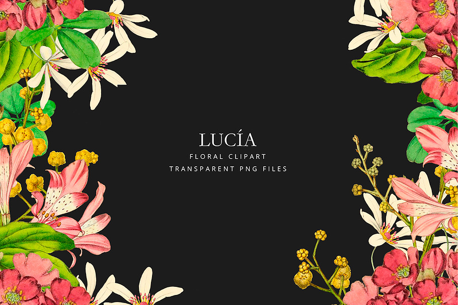Antique pink flowers - Lucia in Illustrations - product preview 8