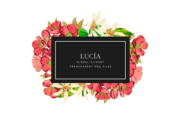 Antique pink flowers - Lucia in Illustrations - product preview 1