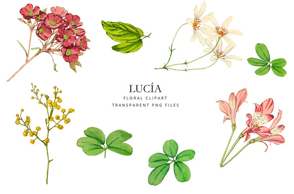 Antique pink flowers - Lucia in Illustrations - product preview 2