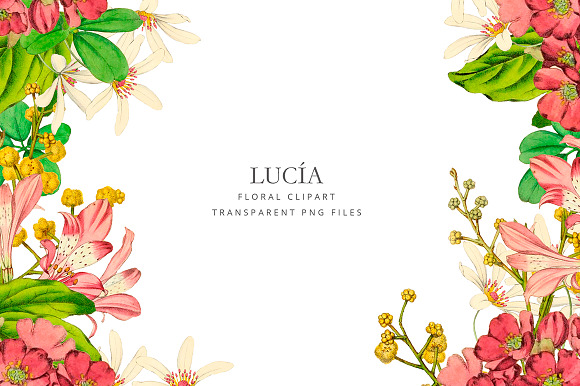 Antique pink flowers - Lucia in Illustrations - product preview 3