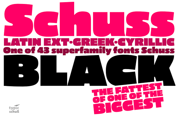 Schuss Sans CG Poster Black in Sans-Serif Fonts - product preview 1