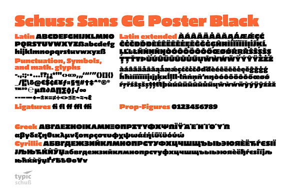 Schuss Sans CG Poster Black in Sans-Serif Fonts - product preview 10