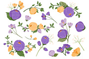Purple Crocus Floral Clipart