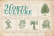 Horticulture - 130 plant vectors
