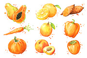 Set of orange foods, watercolor