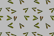 A seamless pattern texture of green seeds of arh