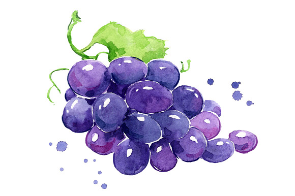 Set of purple foods, watercolor in Illustrations - product preview 2