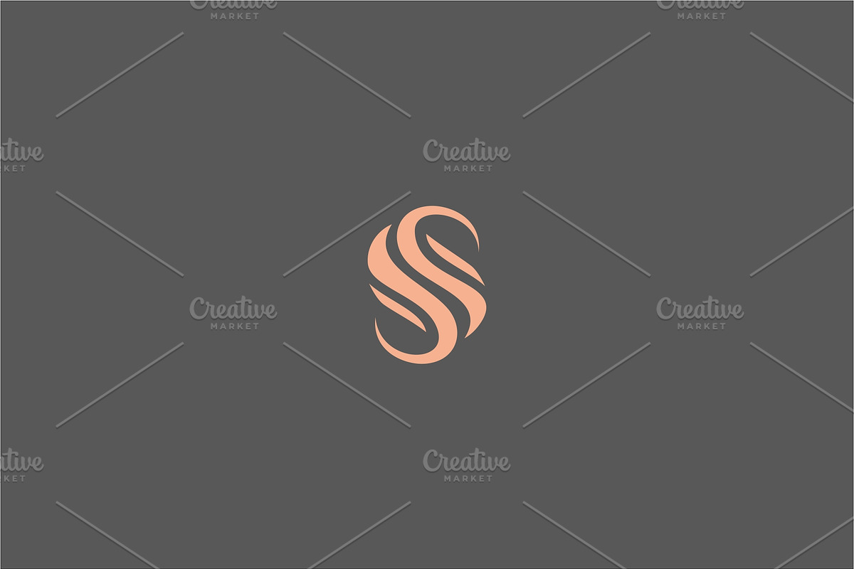 Letter S Logo Design  in Logo Templates - product preview 8