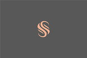 Letter S Logo Design 