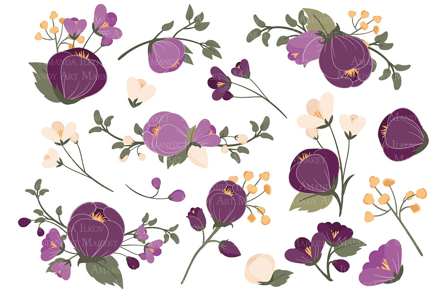 Plum Floral Clipart & Vectors in Illustrations - product preview 8
