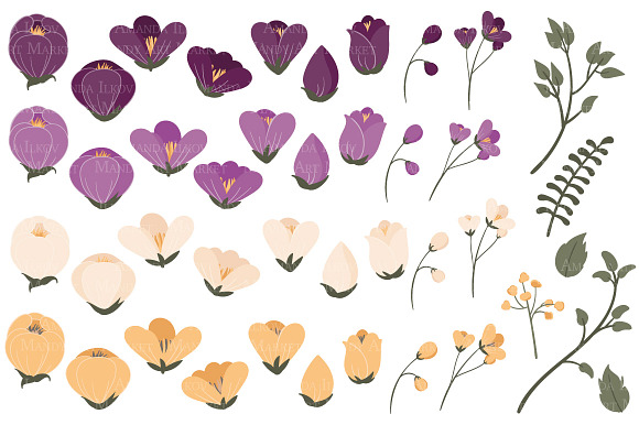 Plum Floral Clipart & Vectors in Illustrations - product preview 1