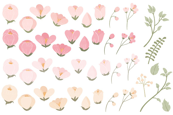 Soft Pink Flower Clipart & Vectors in Illustrations - product preview 1