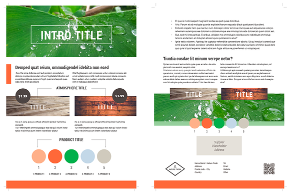 Brochure with 3 Themes in Brochure Templates - product preview 1