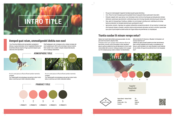Brochure with 3 Themes in Brochure Templates - product preview 3