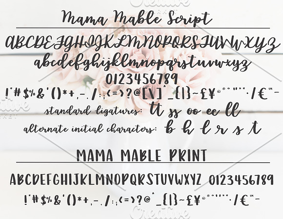 Mama Mable Handlettered Fonts in Script Fonts - product preview 3