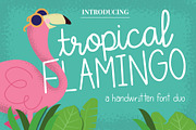 Tropical Flamingo Font Duo