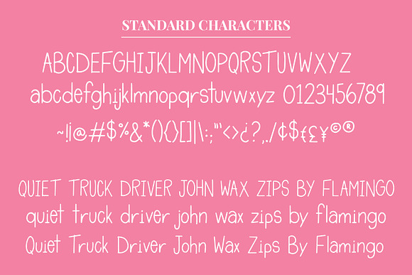 Tropical Flamingo Font Duo in Professional Fonts - product preview 3