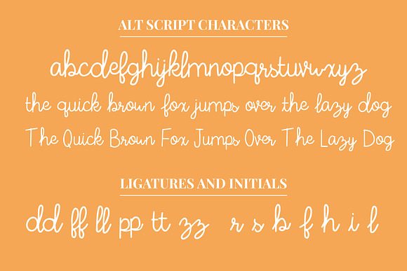 Tropical Flamingo Font Duo in Professional Fonts - product preview 4