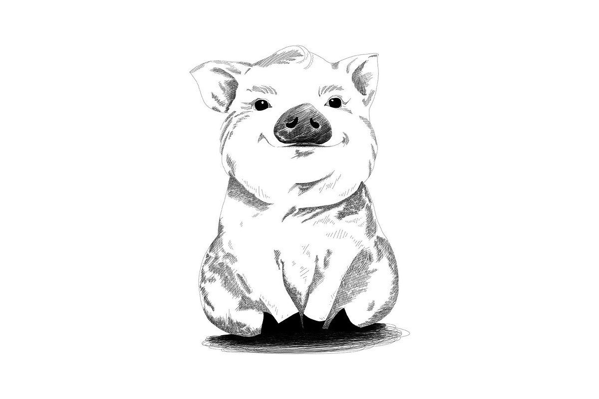 Cute Pig | Illustration in Illustrations - product preview 8