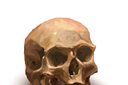 Ancient realistic human skull