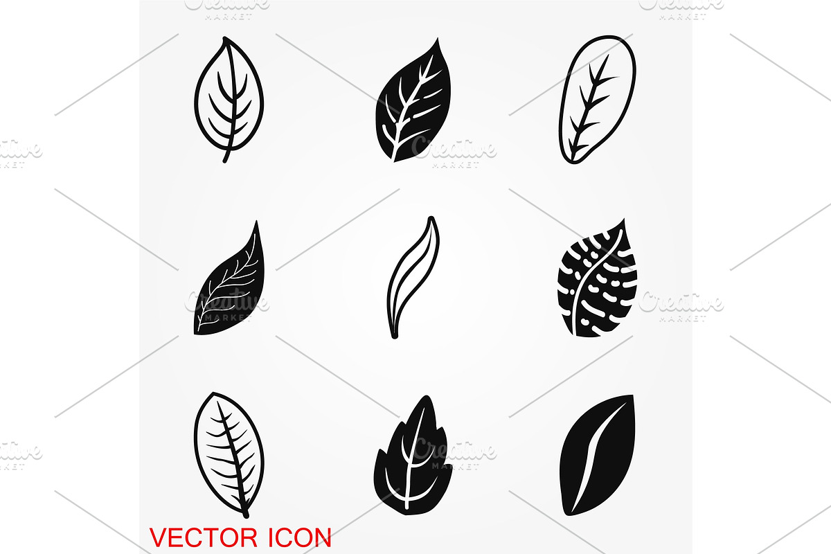 Leaf icon vector in Illustrations - product preview 8