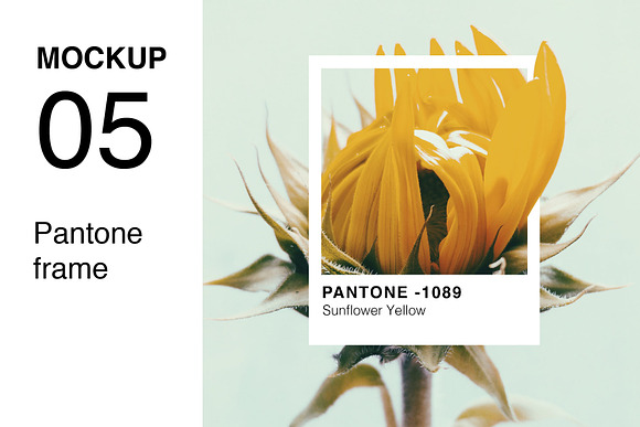 Pantone Colour Mockup Bundle in Product Mockups - product preview 7
