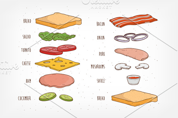 Sandwiches, sandwich's ingredients in Illustrations - product preview 3