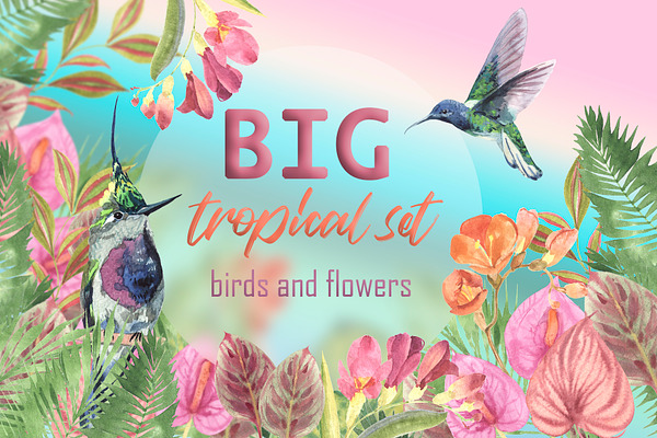Tropical plants and birds of paradis