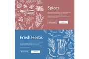 Vector hand drawn herbs and spices banners illustration