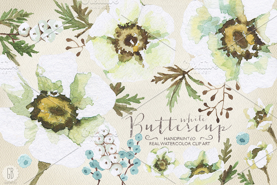 Aquarelle white buttercup in Illustrations - product preview 8