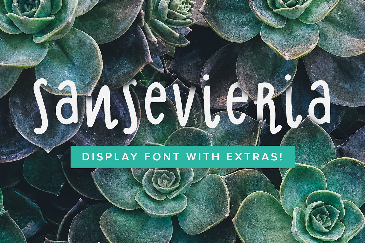 Sansevieria Display Font + Extras in Display Fonts - product preview 8