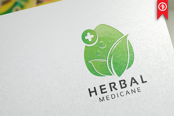 Herbal Medicine - Logo Template in Logo Templates - product preview 3