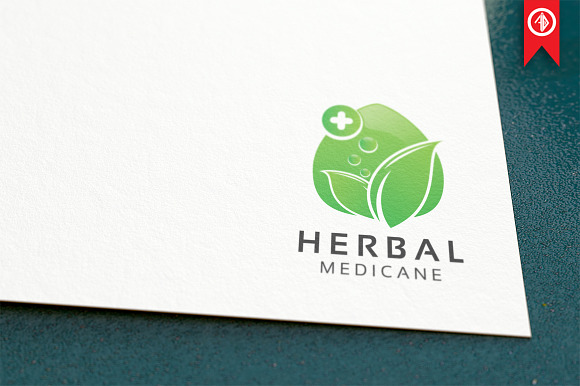 Herbal Medicine - Logo Template in Logo Templates - product preview 4