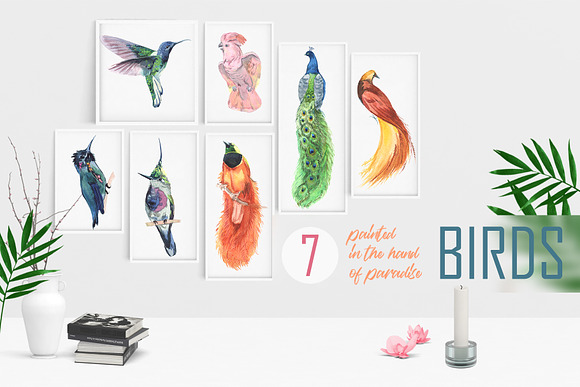 Tropical plants and birds of paradis in Illustrations - product preview 2