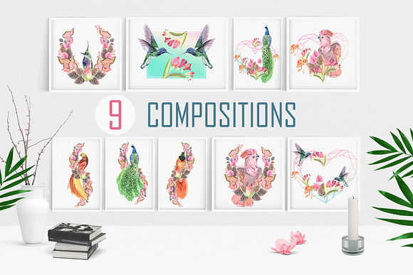 Tropical plants and birds of paradis in Illustrations - product preview 4