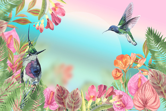 Tropical plants and birds of paradis in Illustrations - product preview 15