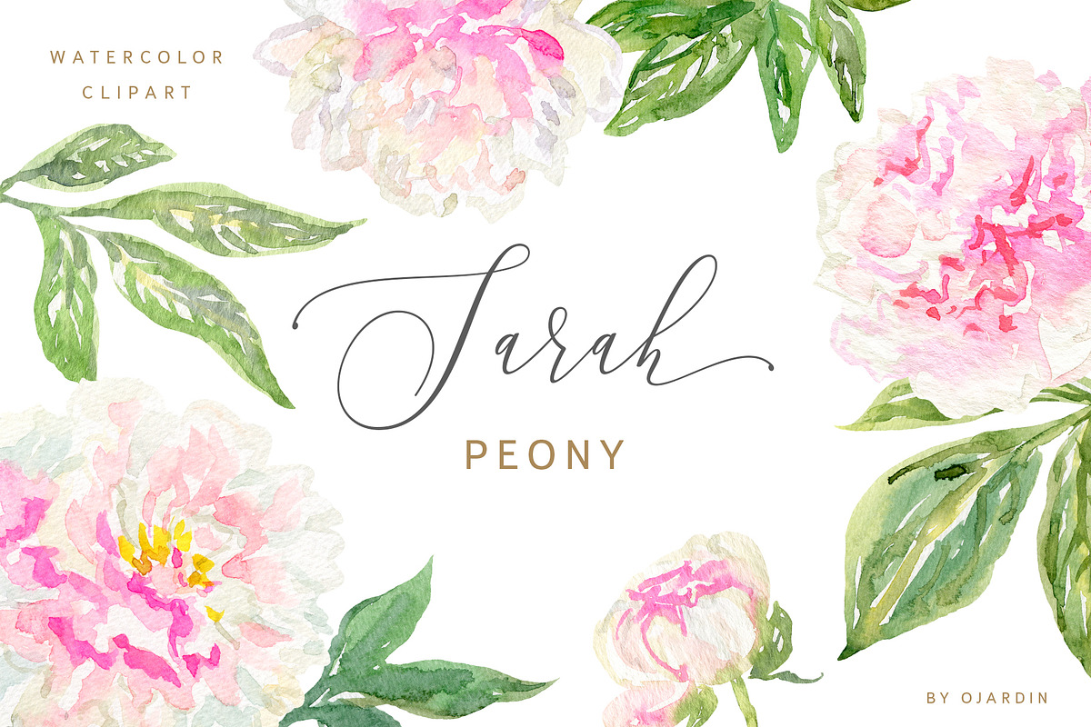 Sarah peony watercolor clipart in Illustrations - product preview 8