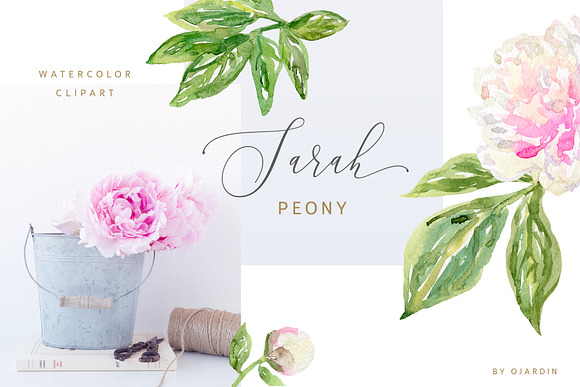 Sarah peony watercolor clipart in Illustrations - product preview 1