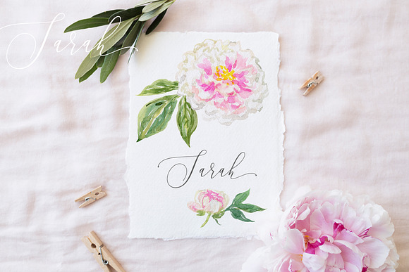 Sarah peony watercolor clipart in Illustrations - product preview 3