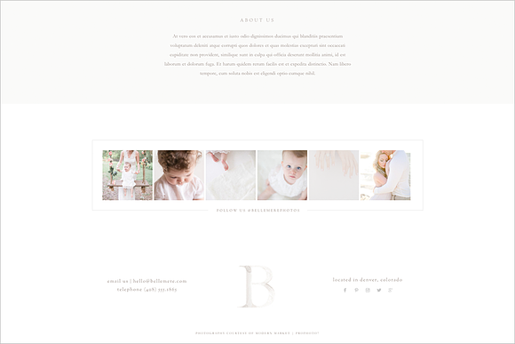Belle Mère Prophoto 7 Template in Website Templates - product preview 3